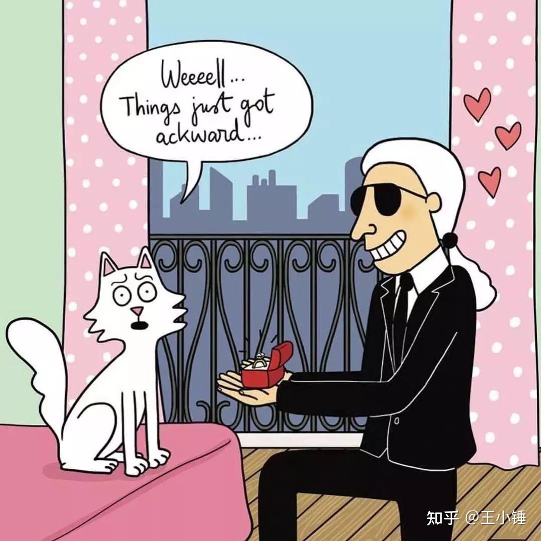 读懂猫科进化哲学人生从此横着走