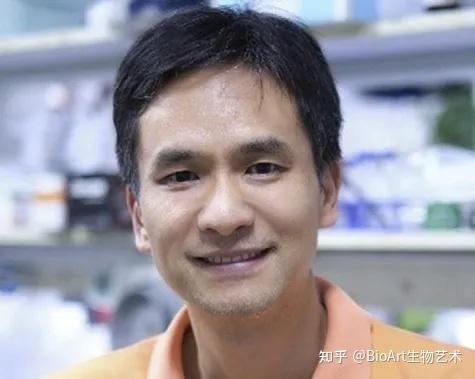 Cancer Cell 争鸣 | “衰竭”的CAR T细胞 - 知乎