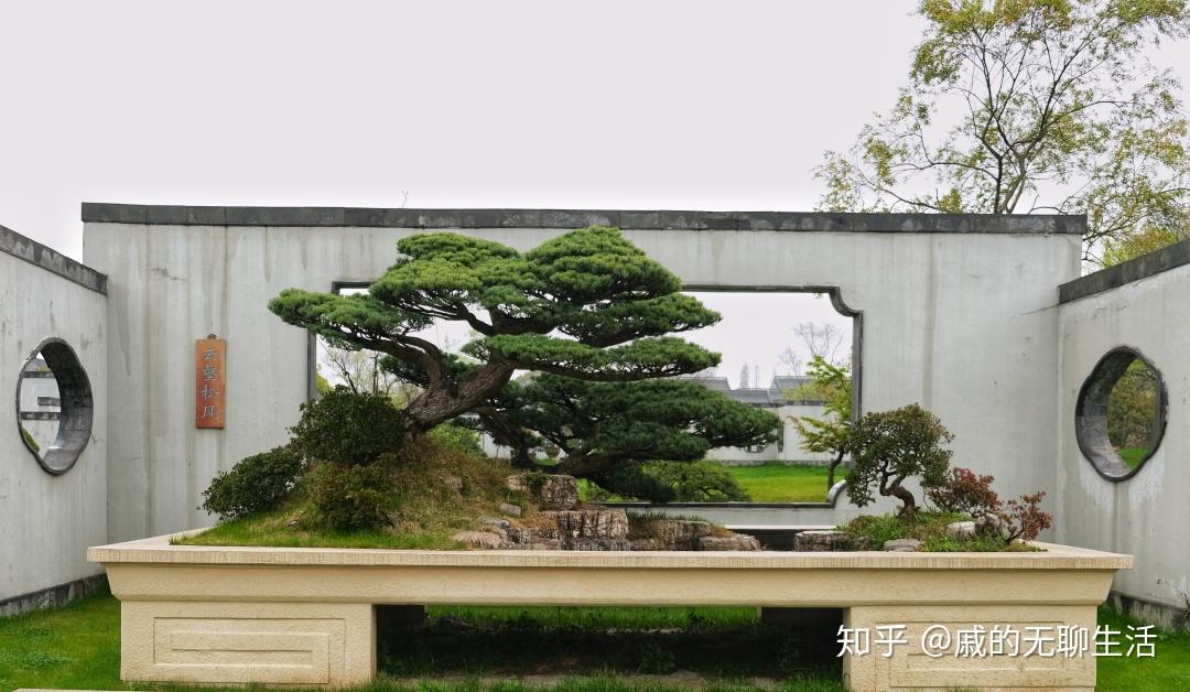 1扬州三春冶春富春 共和春(适合吃早餐)2冶春:包子面点挺好吃的,推荐