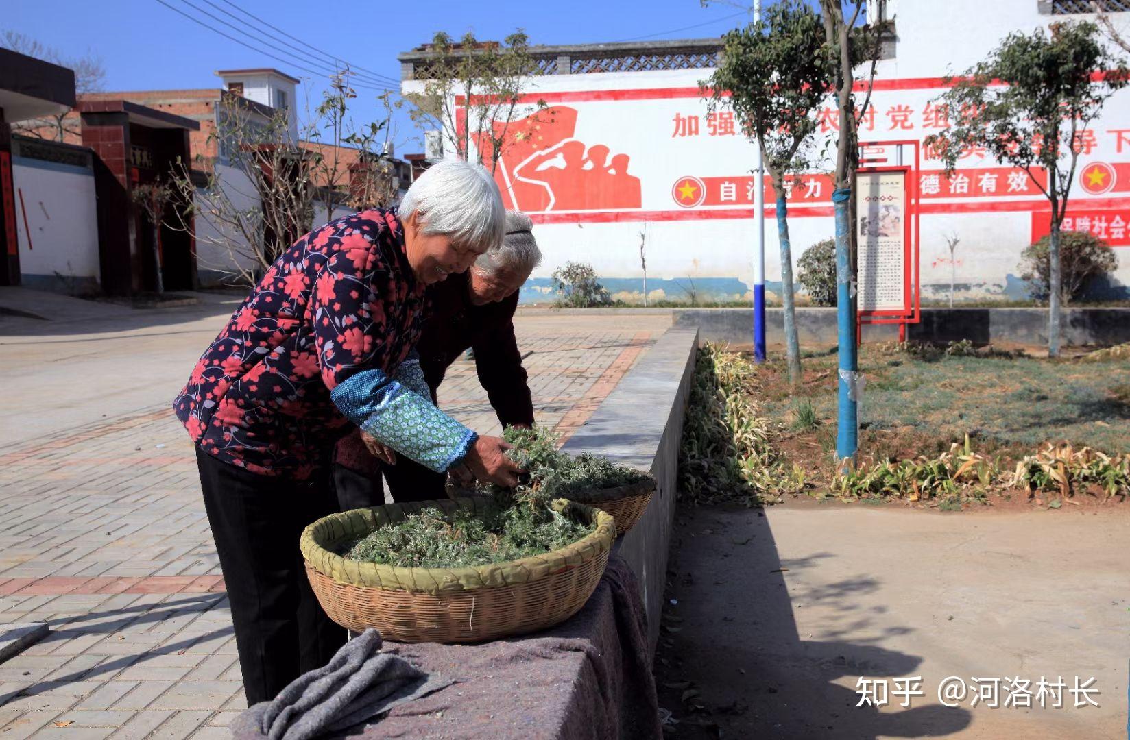 宜陽縣紅色老區趙堡鎮採風