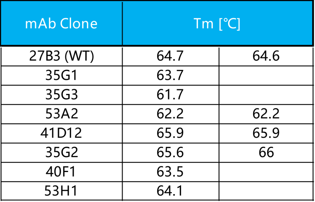 igg1-cd70-cusatuzumab