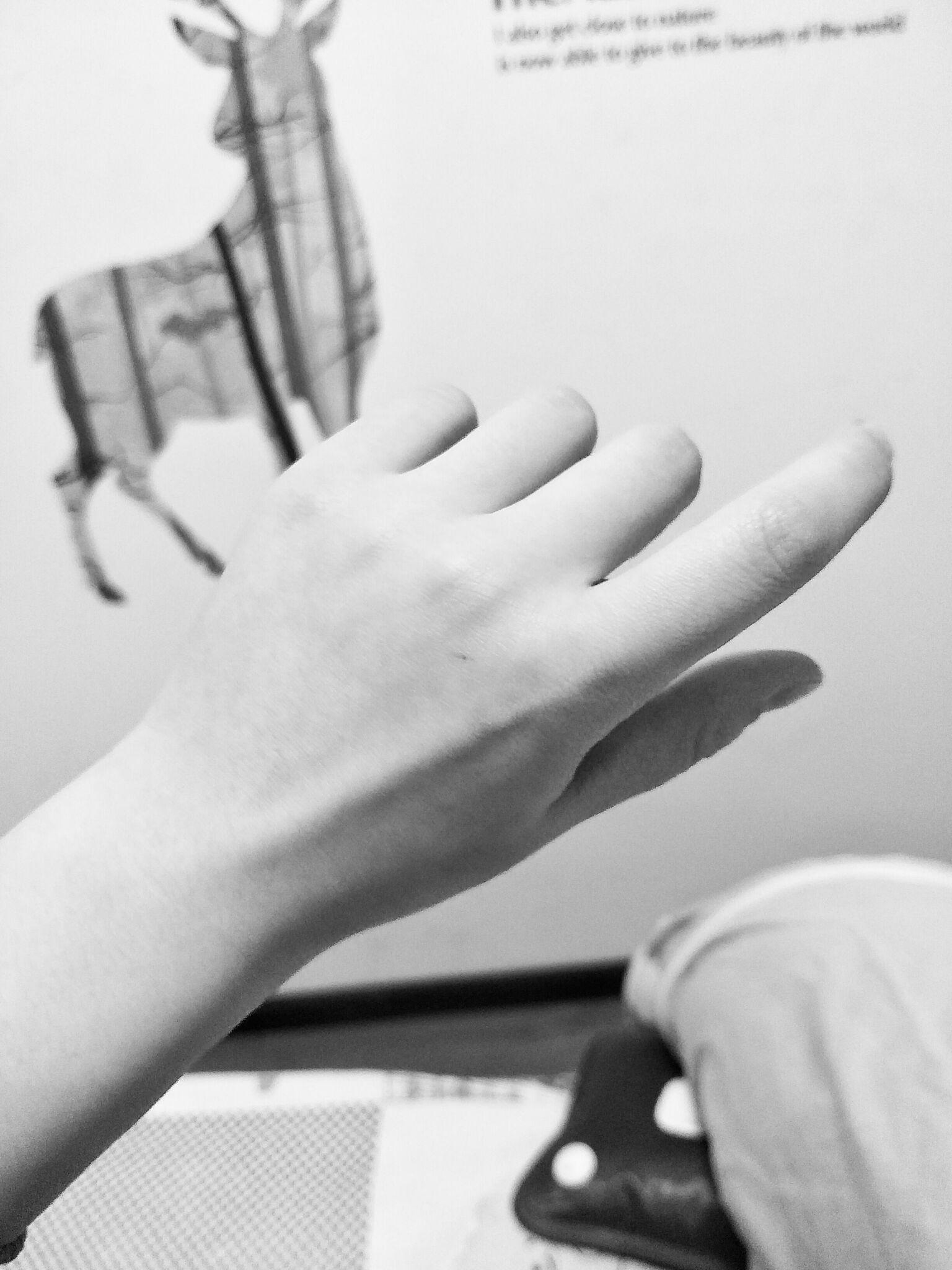 马嘉祺的手，纤细修长，白皙且骨节分明，真的很难不被苏到！|骨节|白皙|马嘉祺_新浪新闻