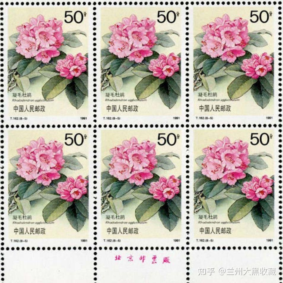 t162杜鹃(杜鹃花)邮票