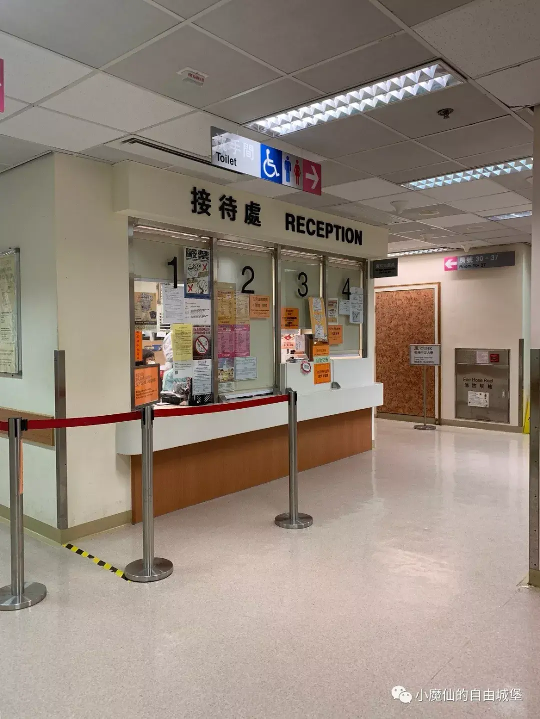 香港冻卵机构实地调研之威尔斯亲王医院香港中文大学辅助生育技术中心