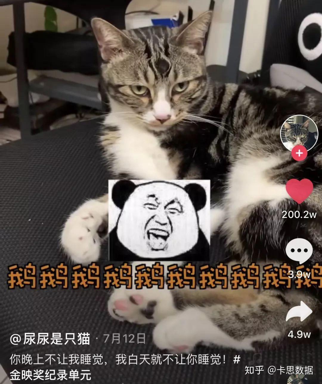 卡思数据方言早就不能满足抖音上的东北爱好者了