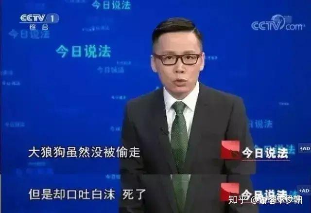 禁止吃狗肉是一刀切的懒政还是走向文明的举措