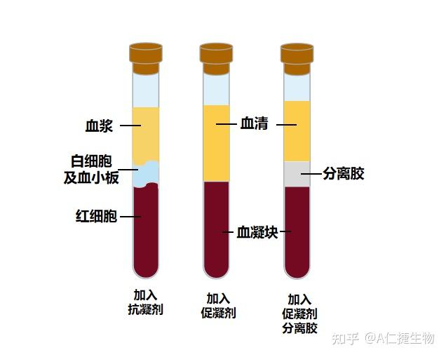 仁捷生物 | 科研人必知的血液样本采集/处理全攻略 - 知乎