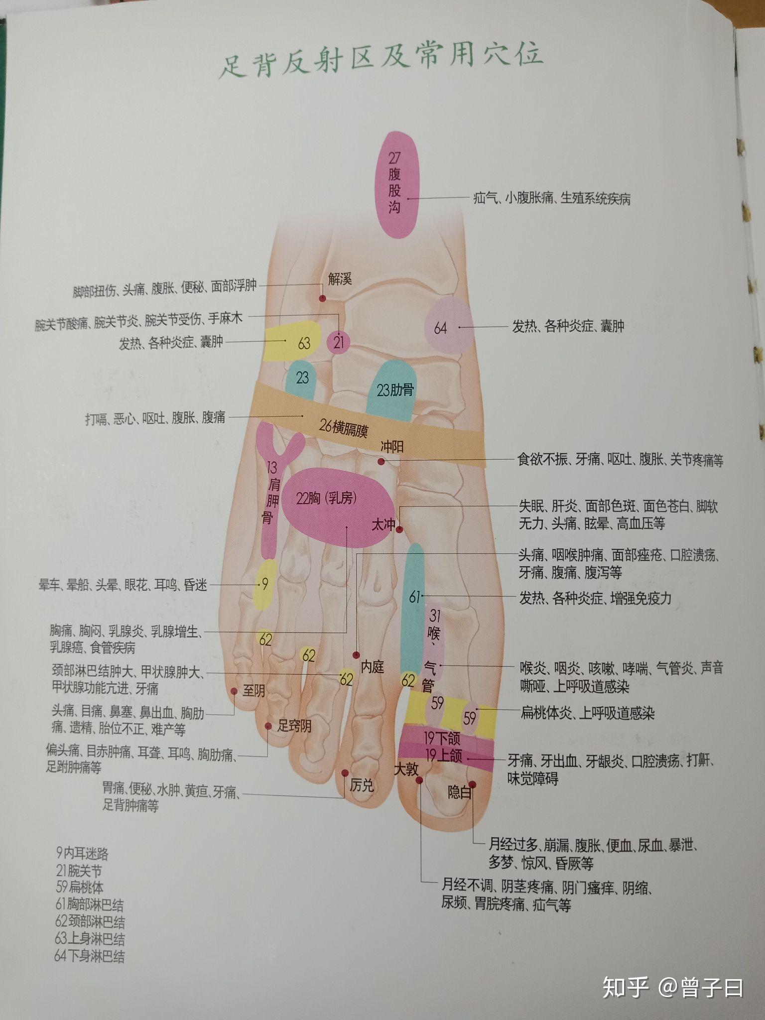 足上六条经络图图片