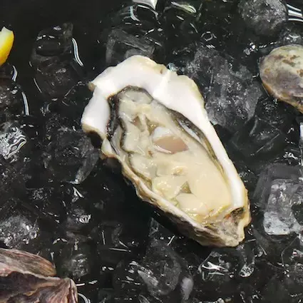 不只是一种闻名世界的生蚝【法国】安之莲生蚝ancelin oyster
