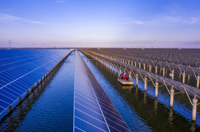 人民日报巡检渔光一体项目