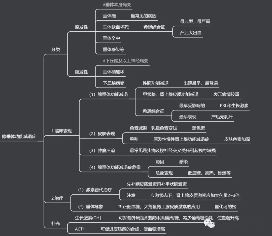 思維導圖內分泌系統1