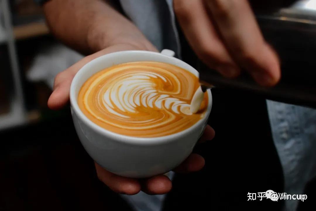 vincup澳白vs拿铁vs卡布奇诺该如何选择呢