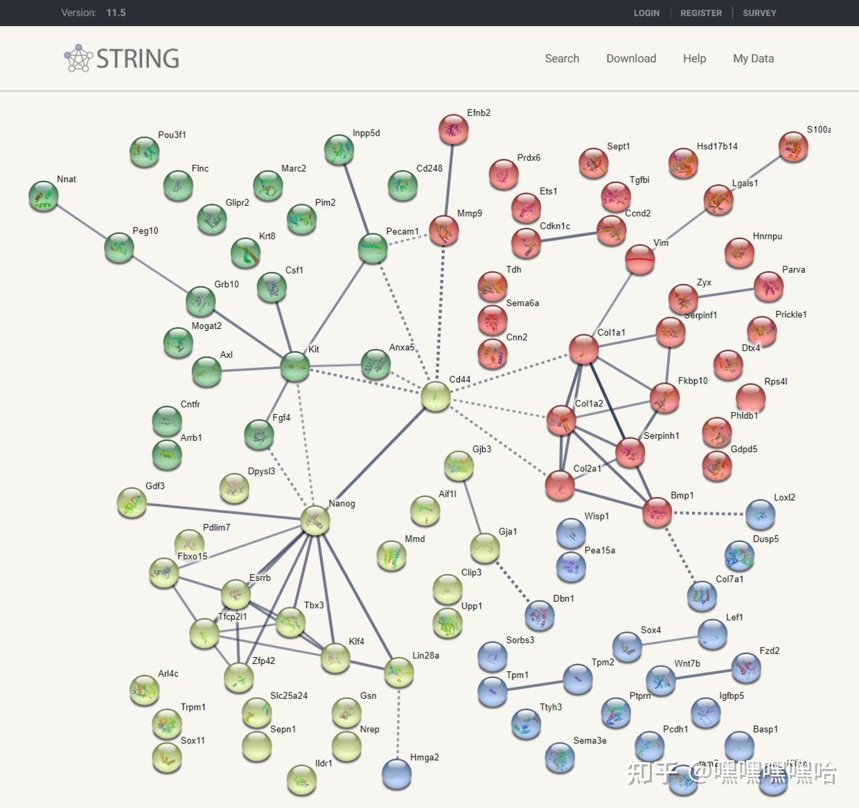 RNA-seq入门实战(九):PPI蛋白互作网络构建(上)——STRING数据库的使用 - 知乎