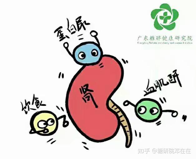 糖尿病肾病 - 知乎