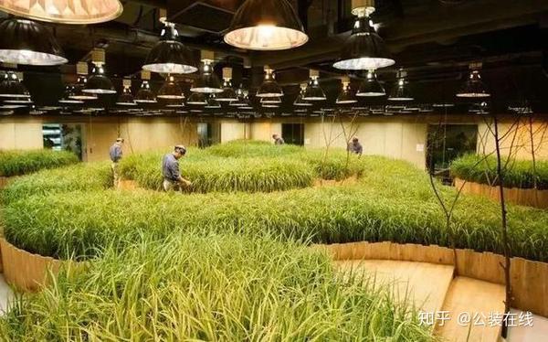 把4000 的开心农场搬进了写字楼里 偷菜和上班两不误 知乎