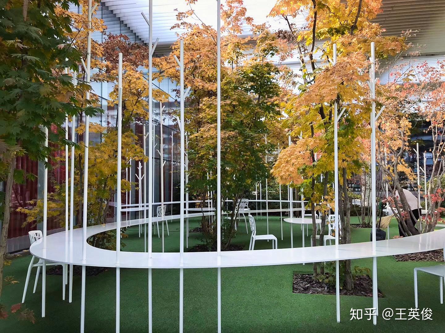 休闲区域公共区域心灵之谷的介绍牌心灵之谷的模型(石上纯也)森林幼儿