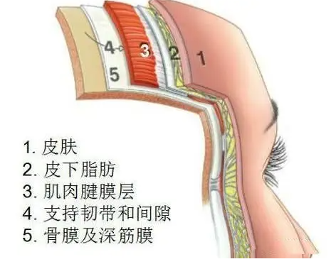 保养护肤水果_开护肤保养_经期护肤保养