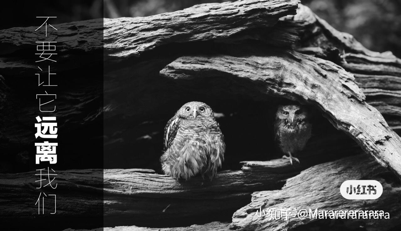 记住教训珍视生命05