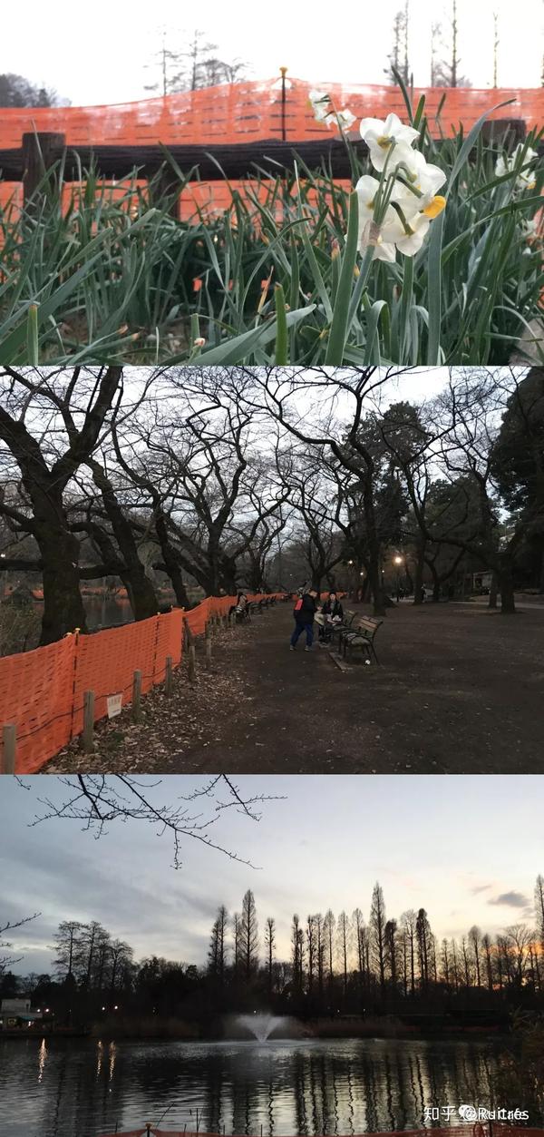 东京好去处逛逛吃吃生活社区 吉祥寺 自由之丘 知乎