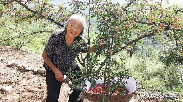 誰說自媒體不好做農村阿凱1年吸粉1014萬秘籍在這裡