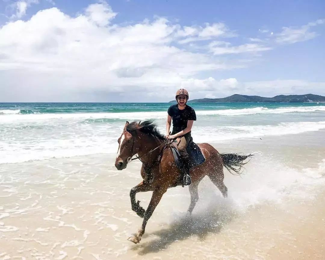 来昆士兰骑马,一起在海滩上策马奔腾