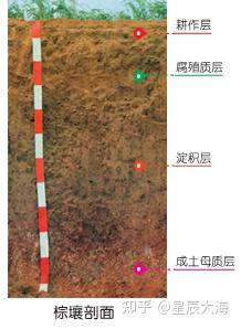 土壤教学经典用图30张! - 知乎