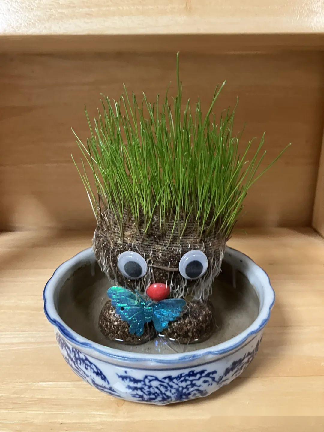 草头娃娃养成记 - 知乎