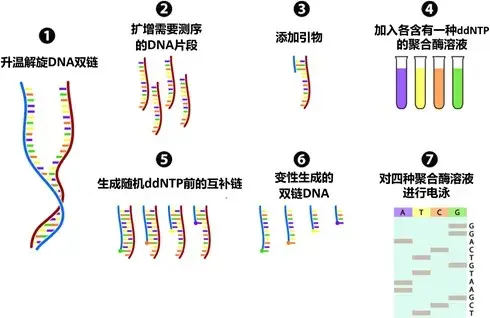 癌症检测系列之Sanger测序 – 完整绘制人类基因图谱 - 知乎