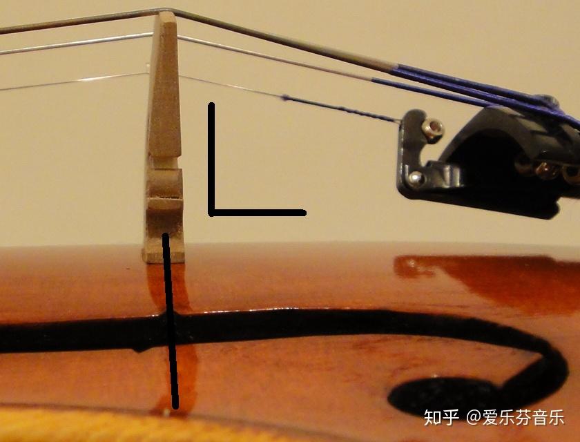 由于弦枕固定所以可以不用管,但琴桥需要注意,琴桥靠近拉弦板的面应与