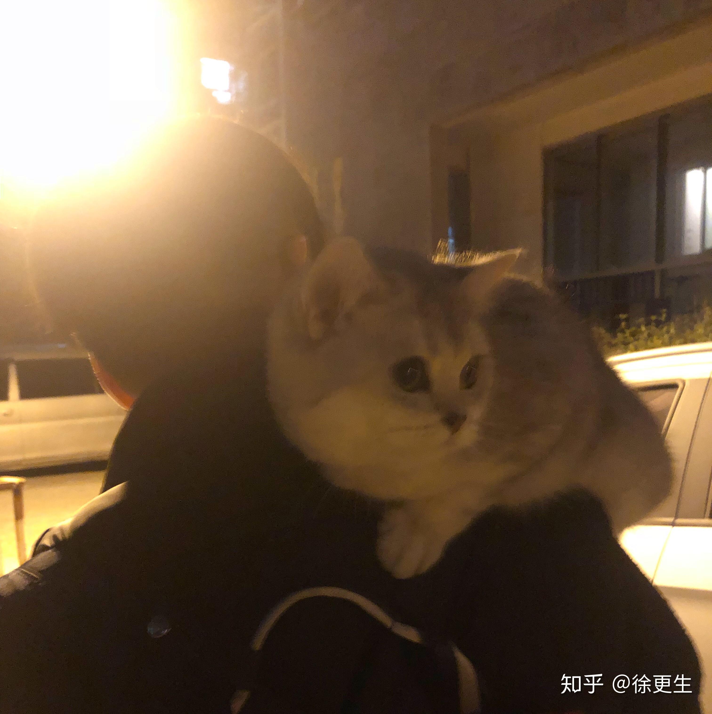 v2-9cbf8cafb8218a3f6682c48333f1f59c_r.jpg