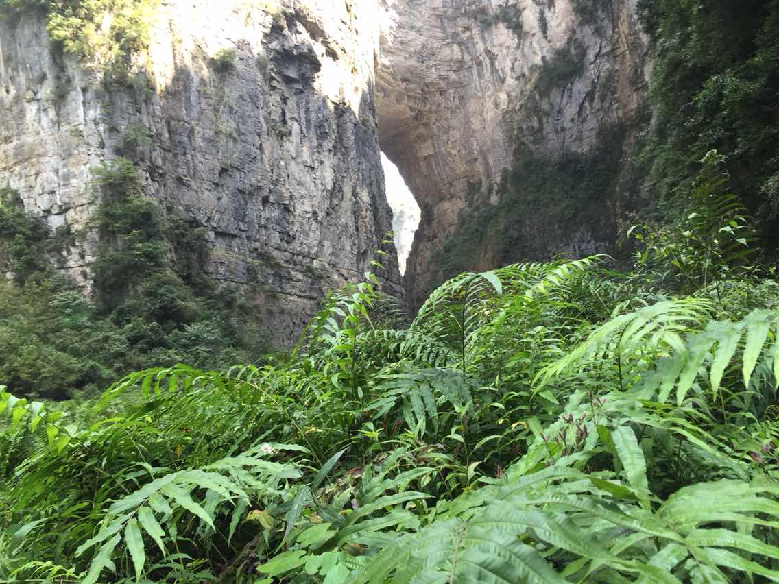 重庆热门旅游景点 仙女山国家森林公园 旅游攻略 低音号导游