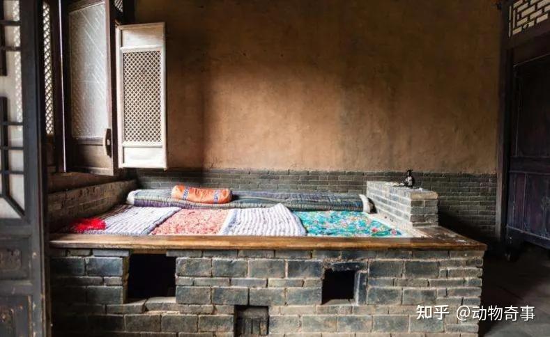 东北习俗令人不解:全家同睡一个“炕”,小夫妻难道不尴尬吗? - 知乎