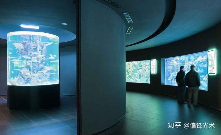 科技赋能,海洋博物馆解锁沉浸式探索新体验 - 知乎