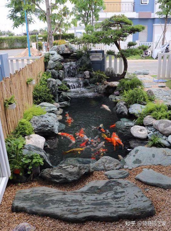 庭院鱼池是规则式好还是自然式好