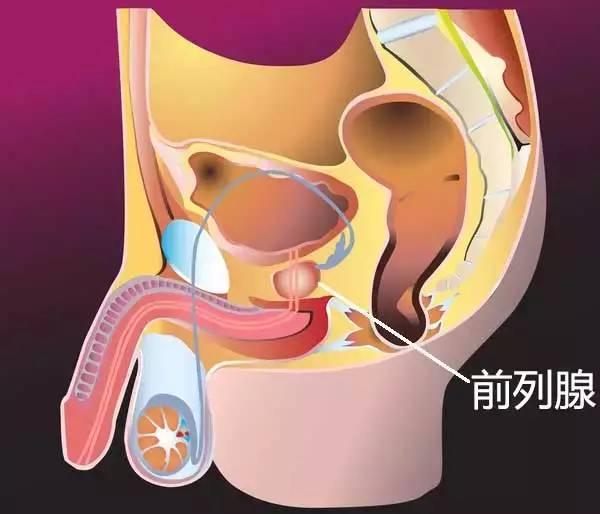 對痔瘡,肛裂, 肛門溼疹,脫肛,便秘,慢性腸炎等疾病,均有明顯的治療和