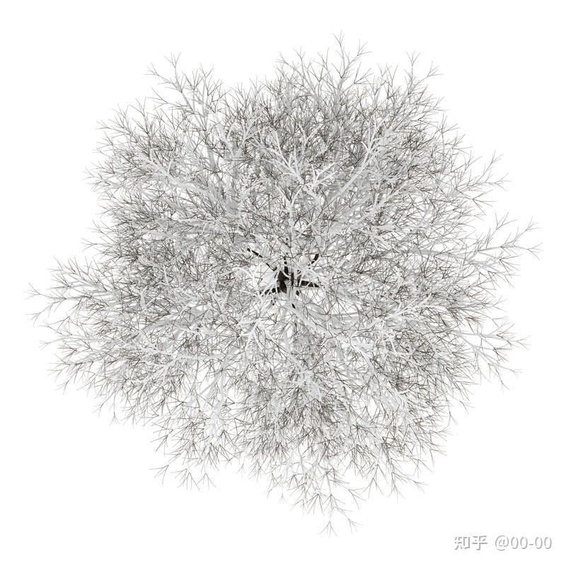 素材分享|平面植物|冬季干枯类型的平面树分享 - 知乎