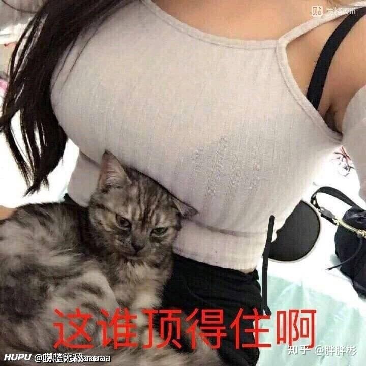 联合国五常联合在一起需要多久可以占领全世界