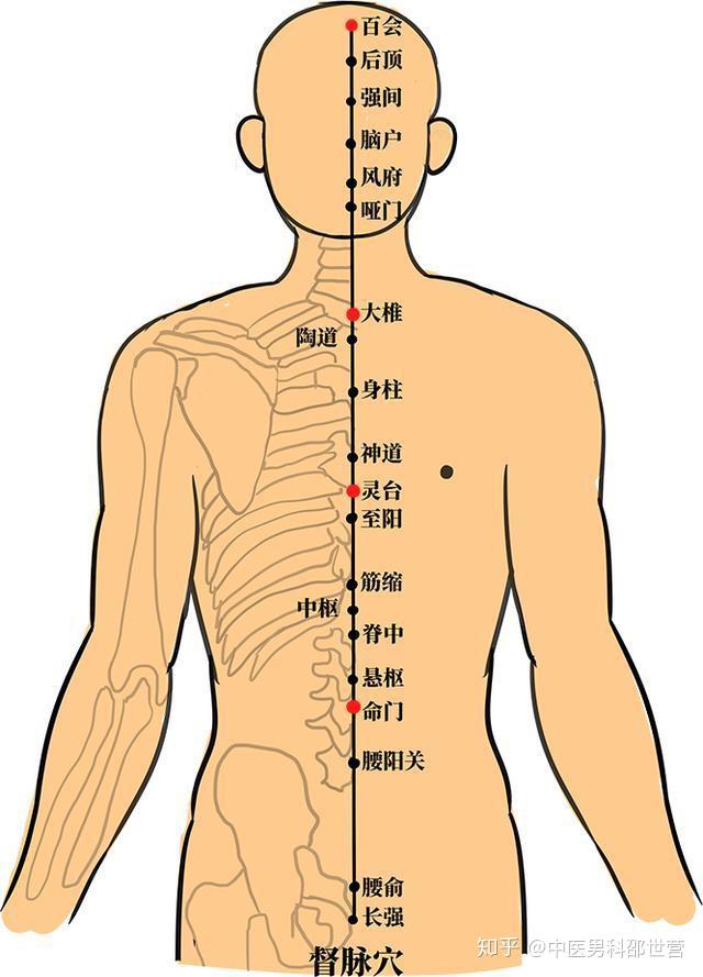 武侠小说中的任督二脉究竟是哪二脉