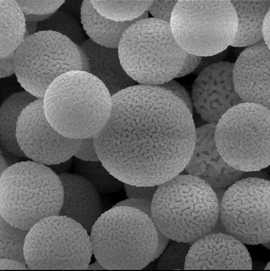 01测量锡和锡合金材料表面晶须生长的测试方法jy/t 010-1996分析型