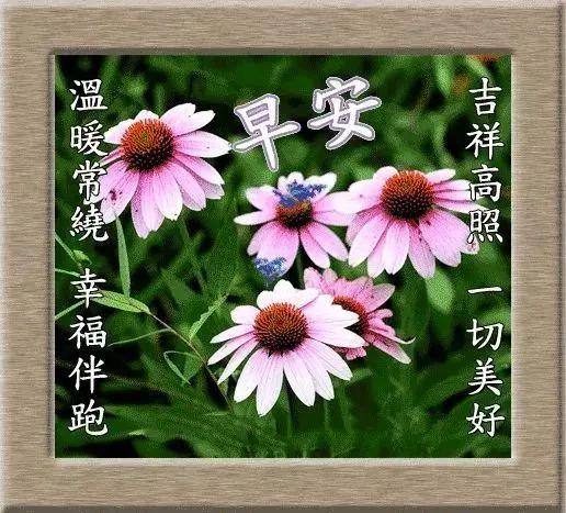 11月24日冬季微信群发早上好祝福语集锦 早安表情图片带字带祝福语