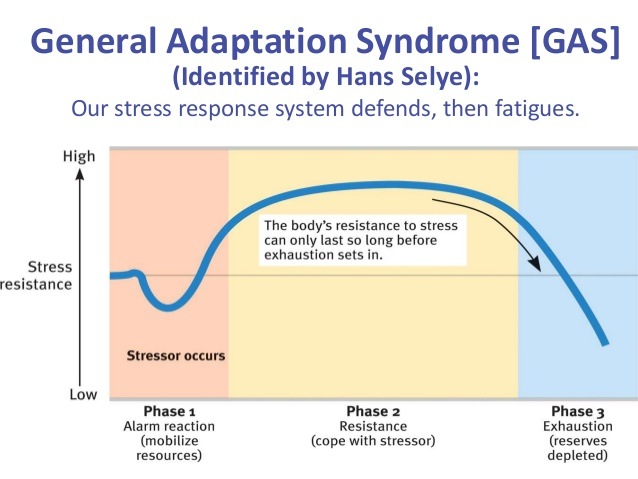 一般适应综合症(general adaptation syndrome,gas):人面临压力时的一