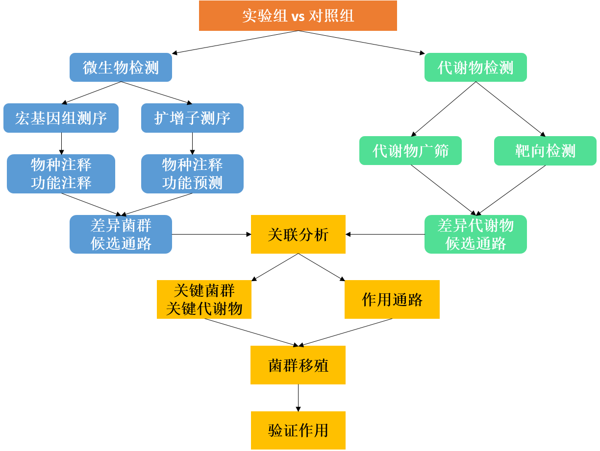 代谢组学文献集—"微生物 代谢"专题
