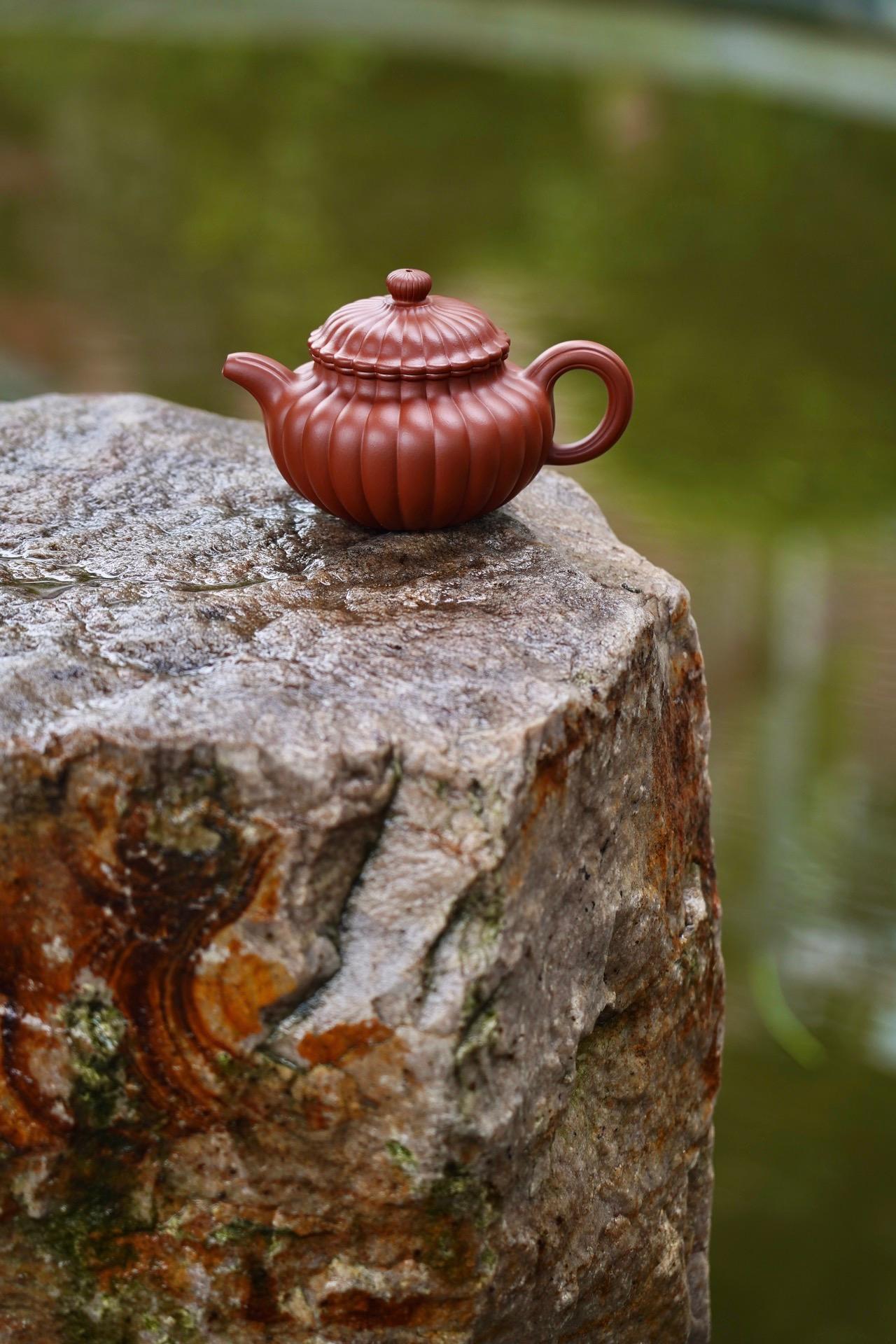 每日紫砂壶推荐 2022/05/01 - 知乎