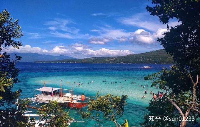 欧博allbet想去菲律宾看鲸鲨出发前先看这篇攻略