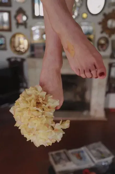 曼婕madge 一片放了五年的银杏.