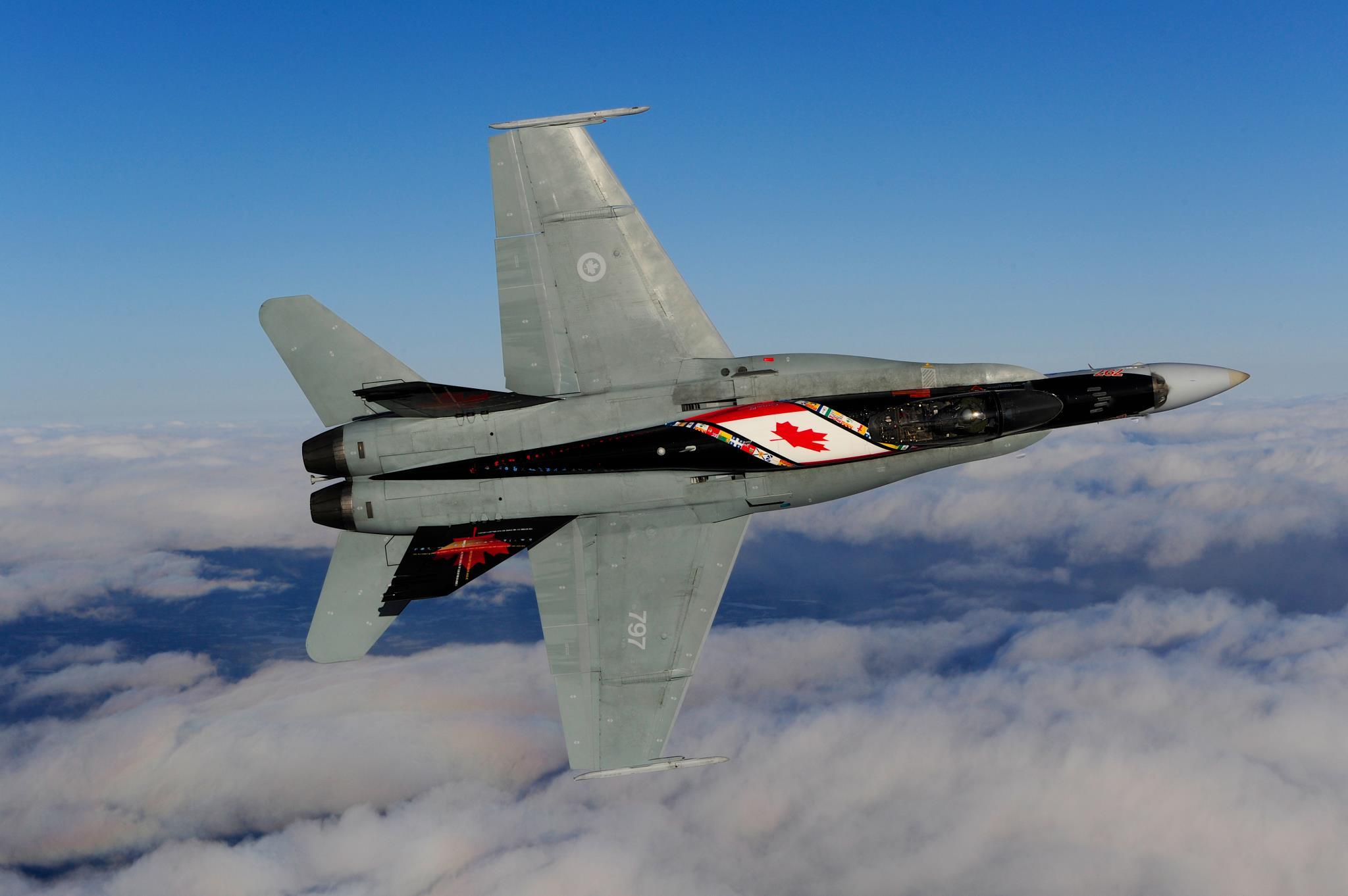 图册皇家加拿大空军cf18表演队之一20132017