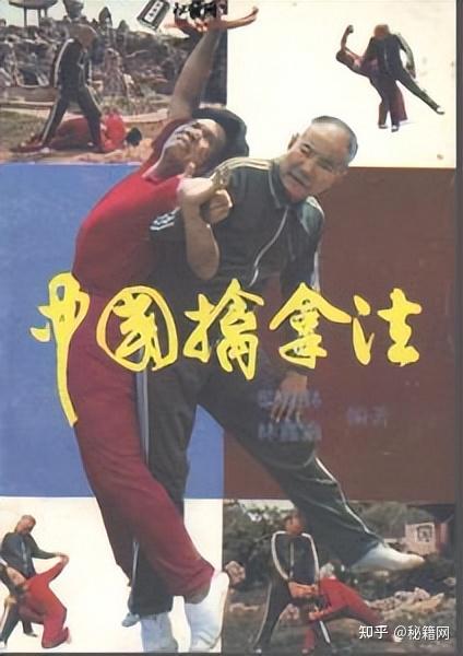 武术中一枝的以缠腕和封喉等动作为主的奇葩技法《擒拿术》秘籍一百五十