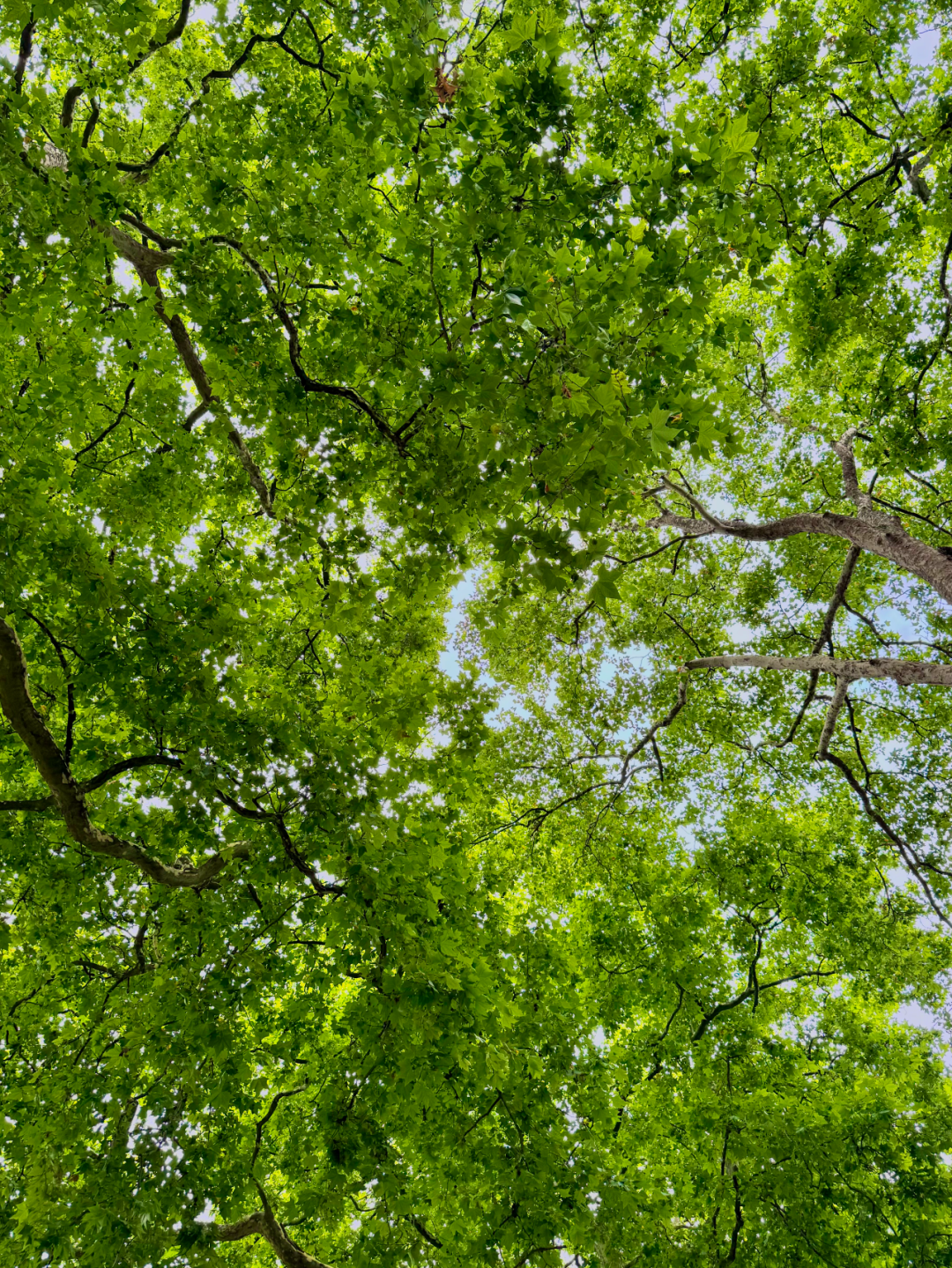 大S离开的这一年_https://www.izongheng.net_人物_第17张