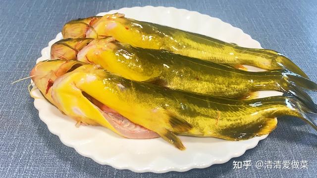 才知道,吃黄骨鱼还有这么多讲究,很多人一直不懂,快瞧瞧 - 知乎
