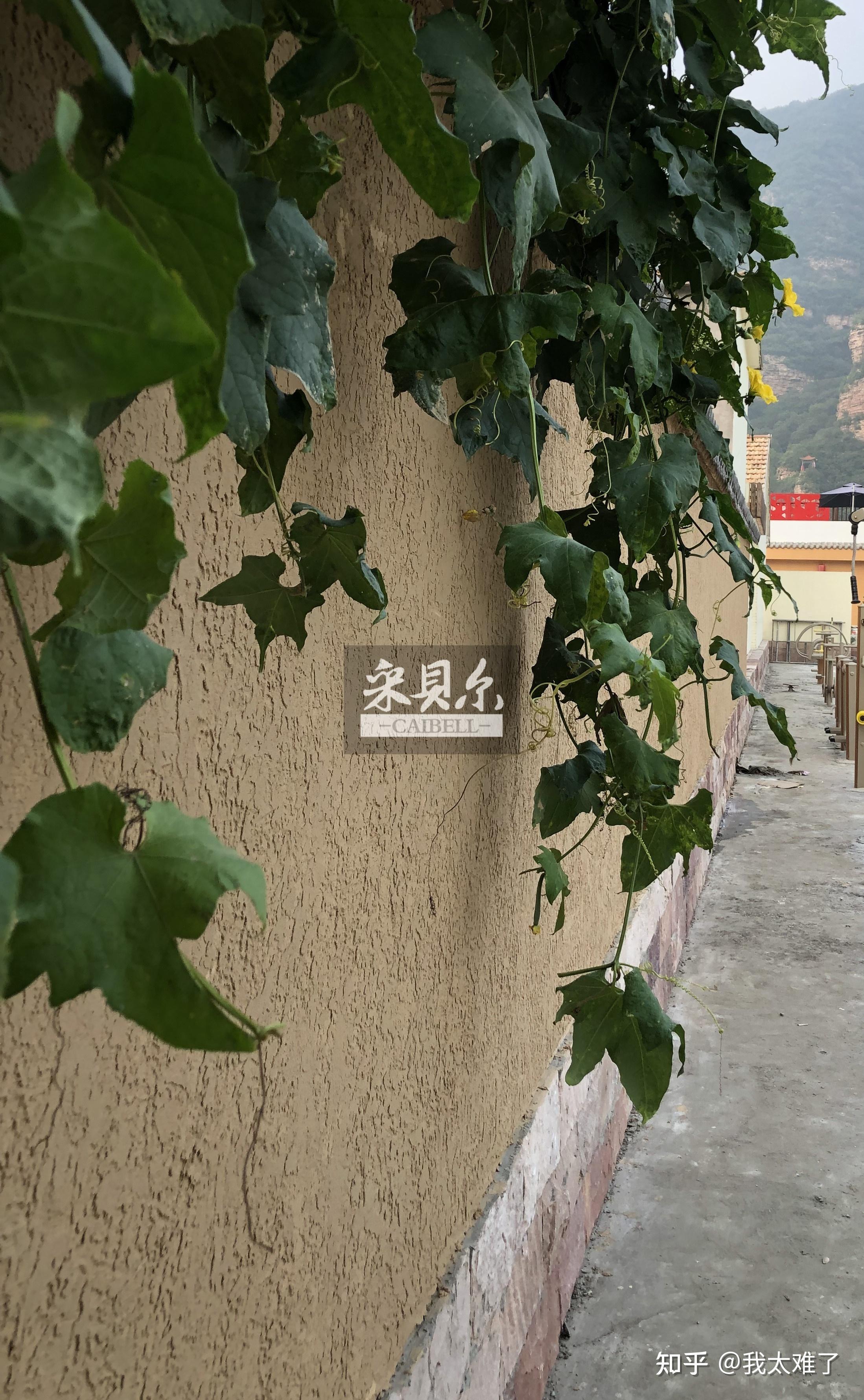 水泥墙面秒变泥巴墙,不禁让人开始忆苦思甜.